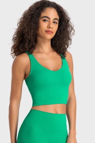 Deep V-Neck Crop Sports Bra