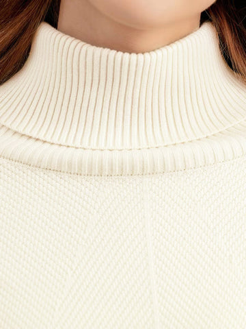 Basic Bea Turtleneck Raglan Sleeve Top and Pants Sweater Set