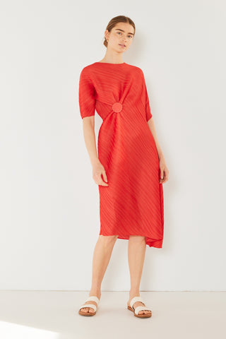 Swim Pleated  Sleeve Dress