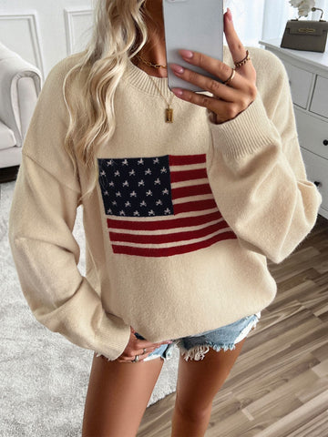 US Flag Round Neck Long Sleeve Knit Top