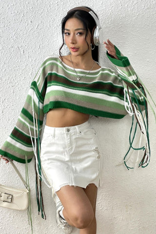 Fringe Striped Round Neck Knit Top