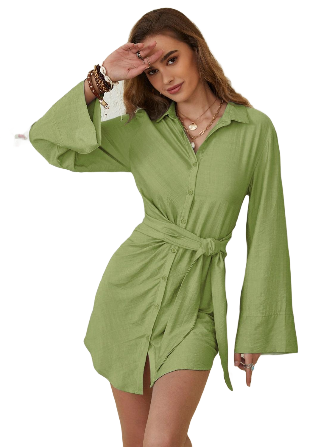 Collared Neck Long Sleeve Mini Shirt Dress