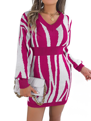 Animal Print V-Neck Long Sleeve Sweater Dress