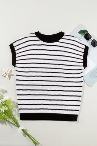 Striped Round Neck Knit Top