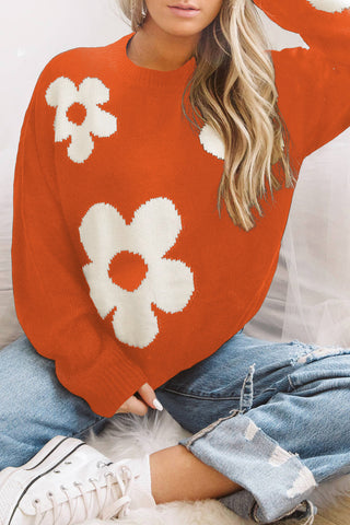 Round Neck Floral Pattern Color Contrast  Design Long Sleeve Sweater