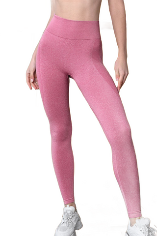 Wide Waist Sports Leggings