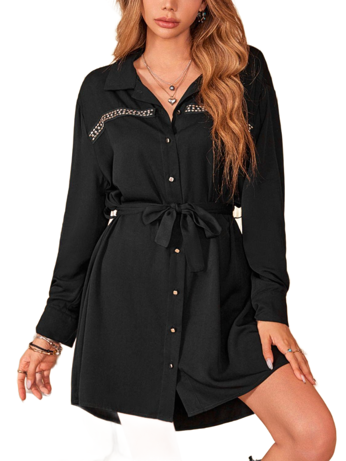 Collared Neck Long Sleeve Mini Dress